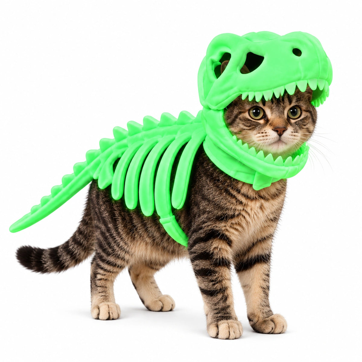 T-Rex Skeleton Cat Costume