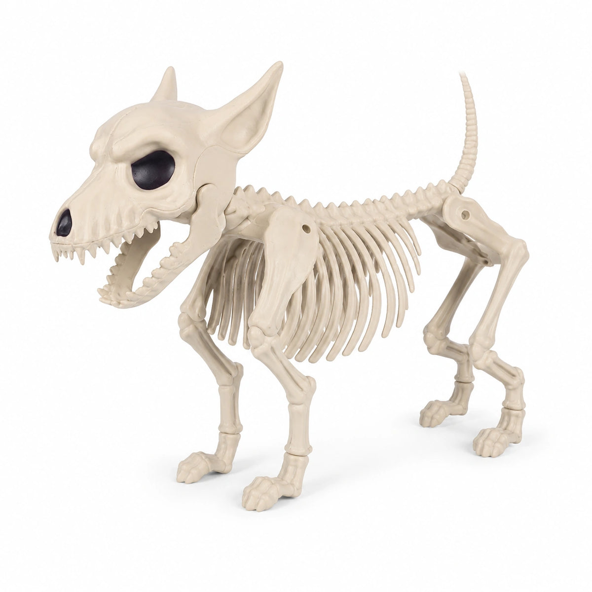 Halloween Skeleton Dog Decoration – Posable Spooky Animal Skeleton