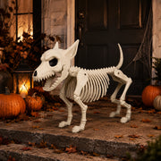 Halloween Skeleton Dog Decoration – Posable Spooky Animal Skeleton