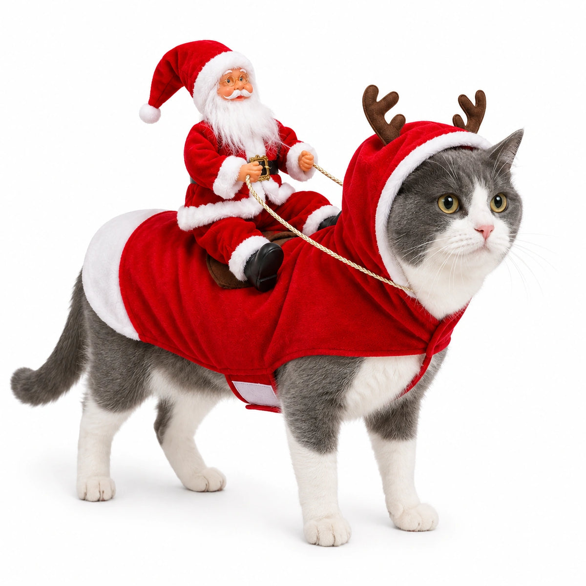 Santa Rider Pet Christmas Costume