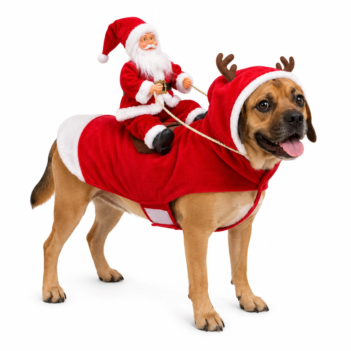 Santa Rider Pet Christmas Costume